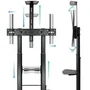 Tooq ZEUS Soporte de Suelo con Ruedas para TV 60-100 pulgadas Negro
